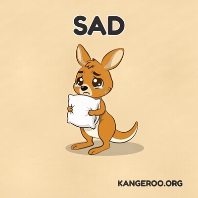 Kangaroo Crying Holding White Pillow Sad GIF