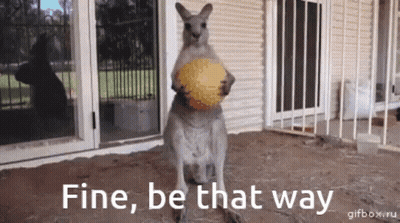 Kangaroo Holding Ball Fine Be That Way GIF