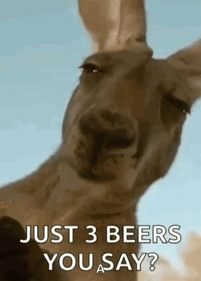 Kangaroo Just 3 Beers You Say GIF