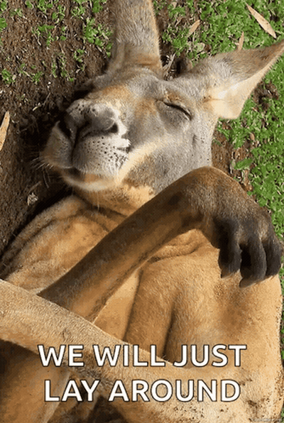 Kangaroo Laying On Back Saying We Will Just Lay Around GIF