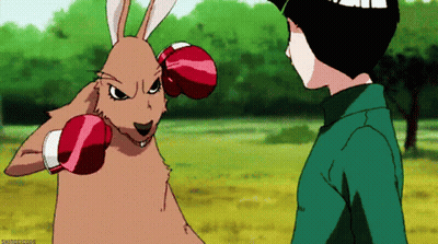 Kangaroo Punched By Boy In Red Boxing Gloves GIF