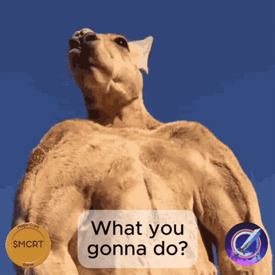 Kangaroo Saying What You Gonna Do GIF