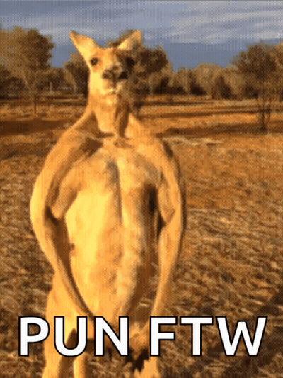 Kangaroo Standing In Field Pun FTW GIF