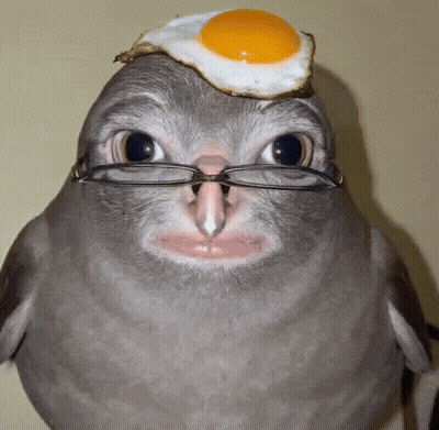 Kangaroo Wearing Rasta Hat GIF