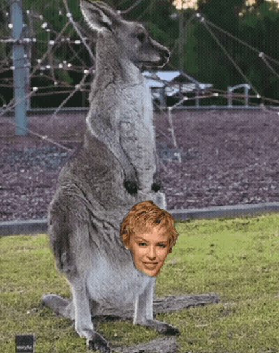 Kangaroo With Woman's Head In Pouch GIF