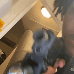 Kankan Gun Playing GIF