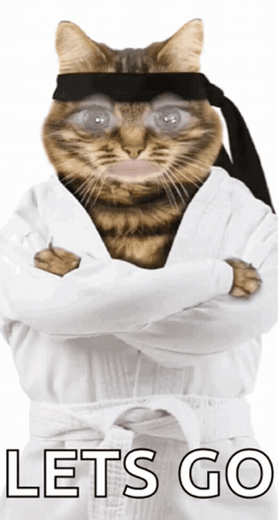 Karate Cat Saying Let's Go GIF
