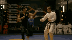 Karate Cobra Kai Comedy Fight GIF