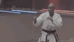 Karate Combat Sport GIF
