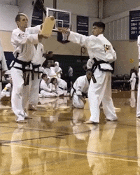 Karate Kick Wood Board GIF