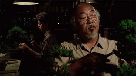 Karate Kid Miyagi Always The Right One GIF