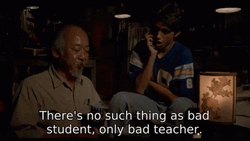 Karate Kid Miyagi Only Bad Teacher GIF