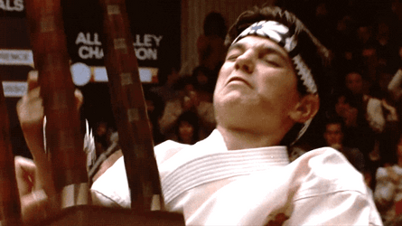 Karate Kid Won GIF