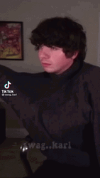 Karl Jacobs Tiktok Video GIF