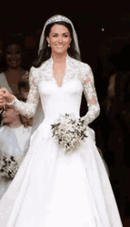 Kate Middleton Wedding Dress Sparkles