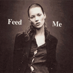 Kate Moss Feed Me GIF