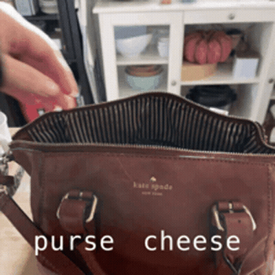 Kate Spade Brown Purse With Purse Cheese GIF