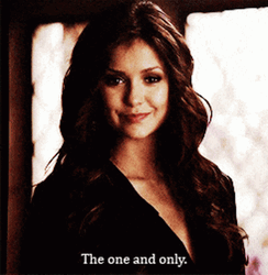Katherine Pierce The One And Only GIF
