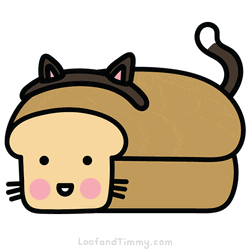Kawaii Cat Bread Costume GIF