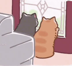 Kawaii Cat Couple Staring  GIF