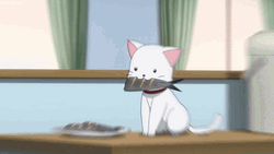 Kawaii Cat Lunch Time  GIF