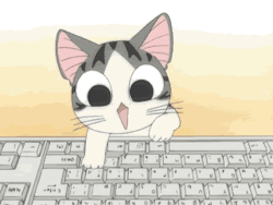 Kawaii Cat Playing Keyboard GIF