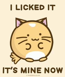 Kawaii Cute Cat Lick GIF