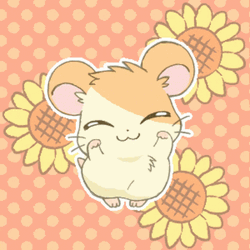 Kawaii Hamster Big Eyes GIF
