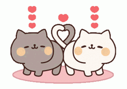 Kawaii Kitten Couple GIF