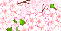 Kawaii Pink Cherry Blossom