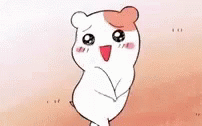 Kawaii Shy Oruchuban Ebichu GIF