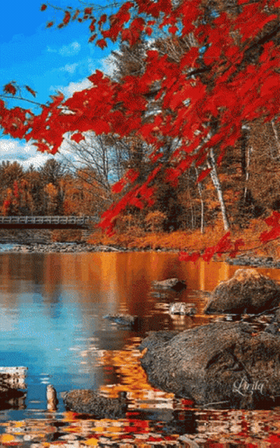 Kayak On Dock Next To Chairs GIF