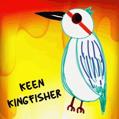 Keen Kingfisher Bird GIF