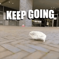 Keep Going Hedgehog GIF