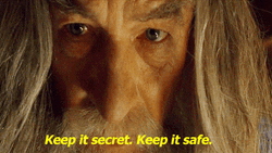 Keep It Secret Keep It Safe GIF
