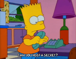 Keep It Secret Keep It Safe Keep It GIF