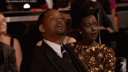 Keep My Organization's Name Out Will Smith Oscars GIF