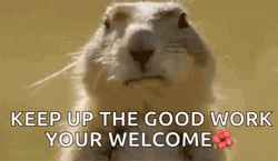 Keep Up The Great Work Prairie Dog GIF