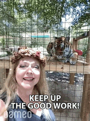 Keep Up The Great Work Zoo Tiger GIF