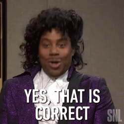 Kenan Thompson Yes That Is Correct GIF