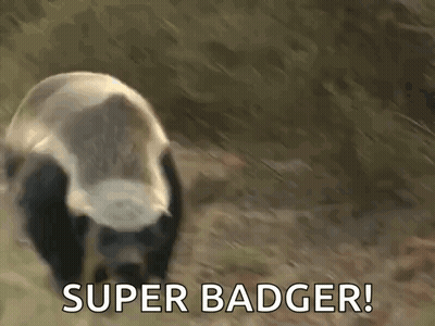 Kentucky Vs Louisville Basketball Game GIF