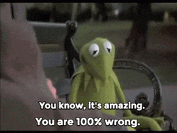 Kermit 100 Percent Wrong Meme GIF