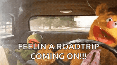 Kermit And Fozzie Driving Car GIF