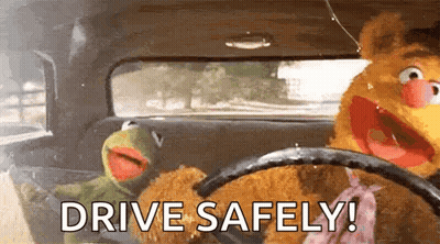 Kermit And Fozzie Driving Car Drive Safely GIF