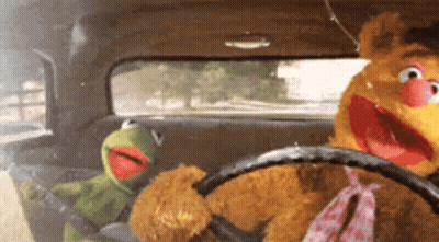 Kermit And Fozzie In Back Seat GIF