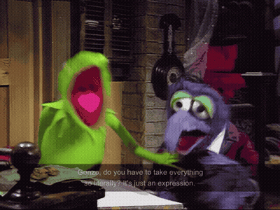 Kermit And Gonzo Talking GIF