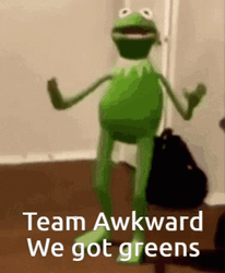 Kermit Dancing GIF