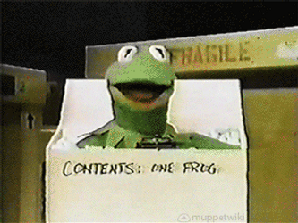 Kermit Dancing His Head Inside Box GIF