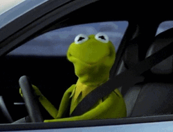 Kermit Dancing His Head Inside His Car GIF