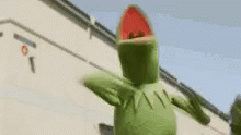 Kermit Dancing Outside GIF